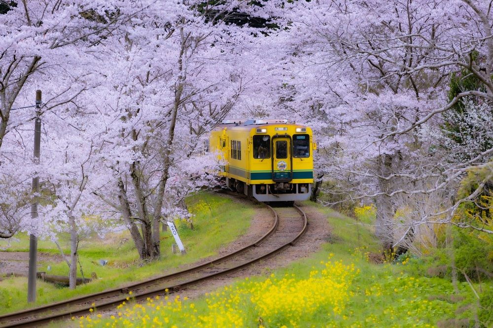 Izumi railway