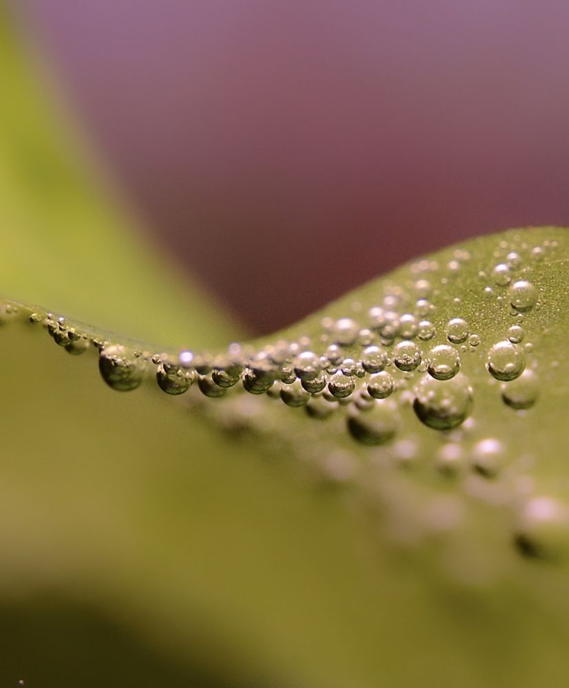 Photograph by Ravindu Manarathna