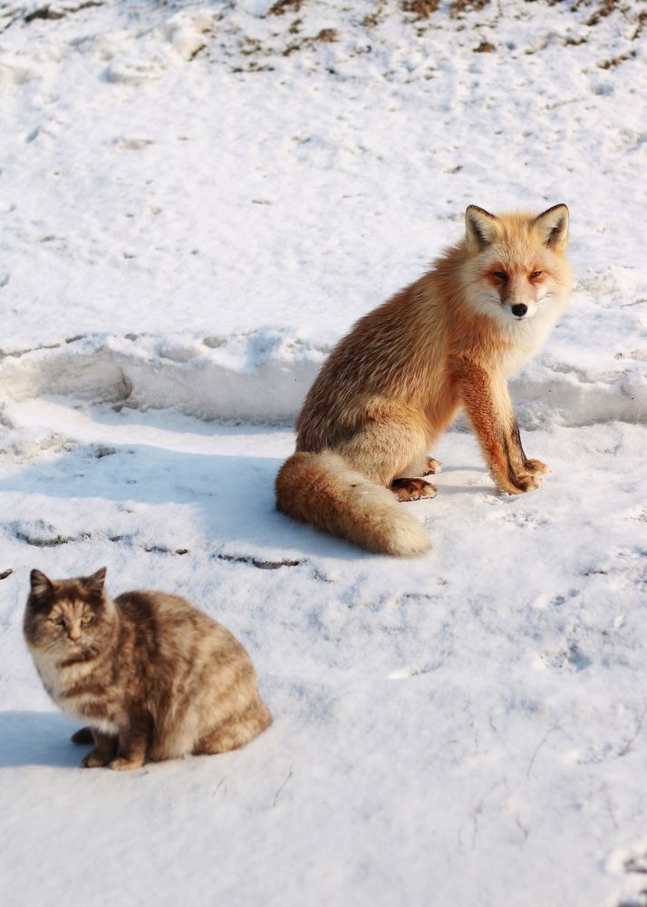 Photograph by Лазурченко Анастасия