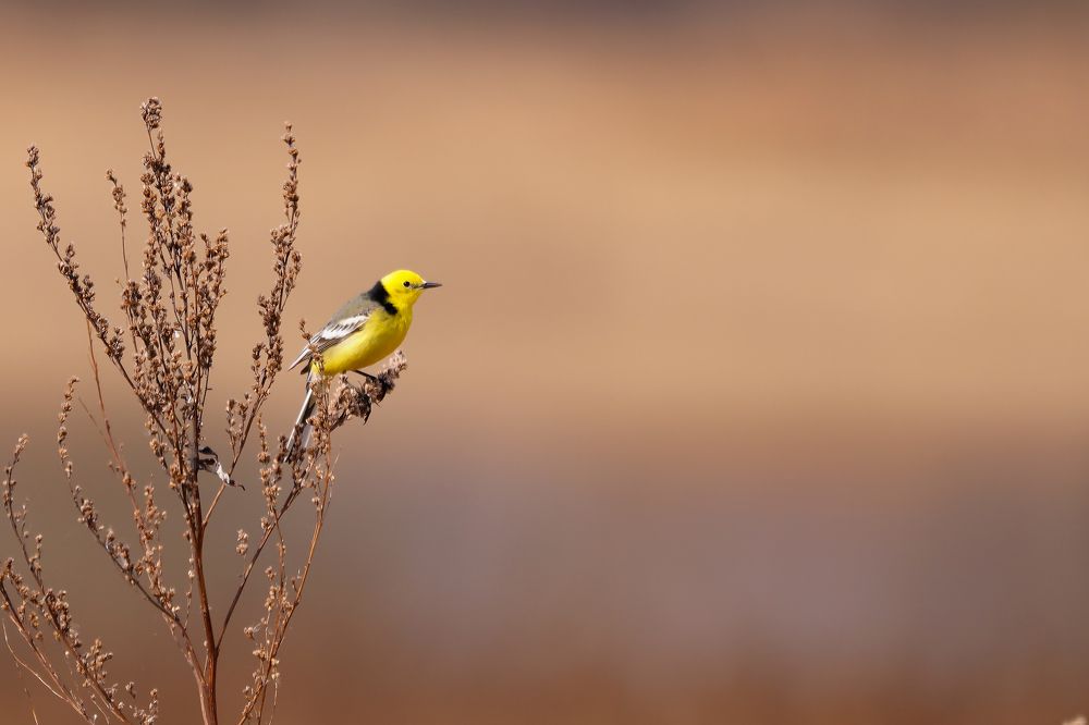 Photograph by Алексей