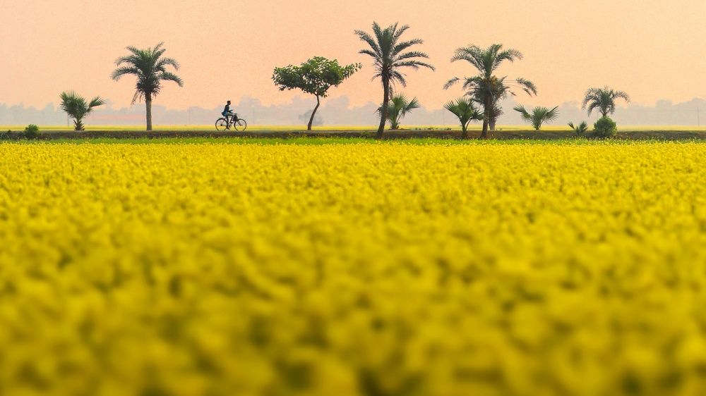 Photograph by Biplob Chandra Shil