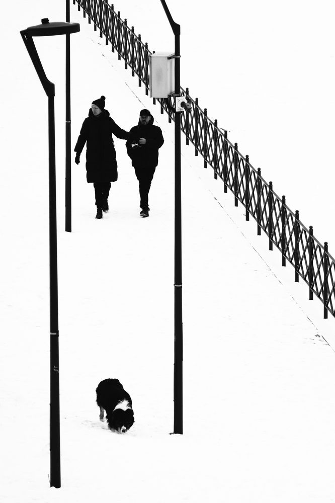 Photograph by Богачев Иван