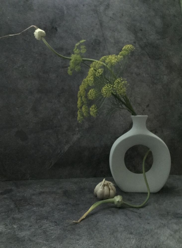 Стадии жизненного цикла чеснока