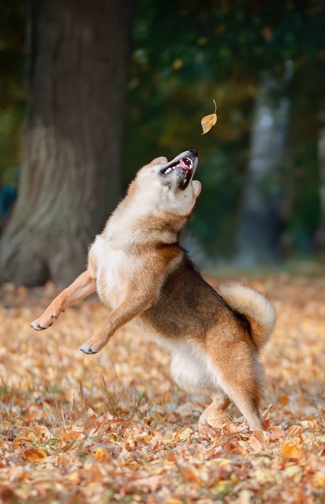 Photograph by Коптилина Галина