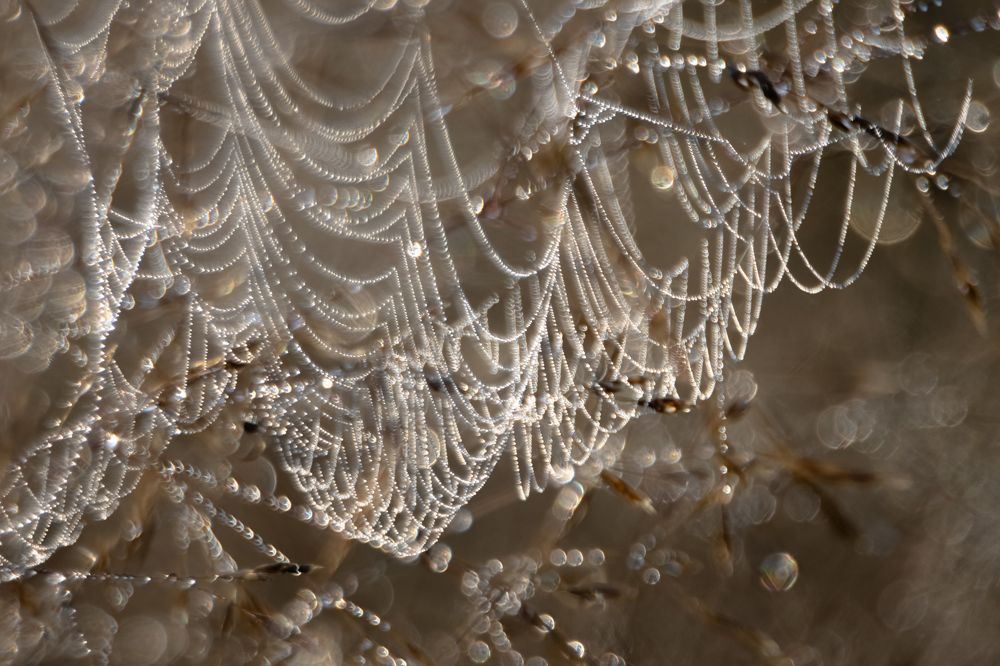 Photograph by Татьяна Романова