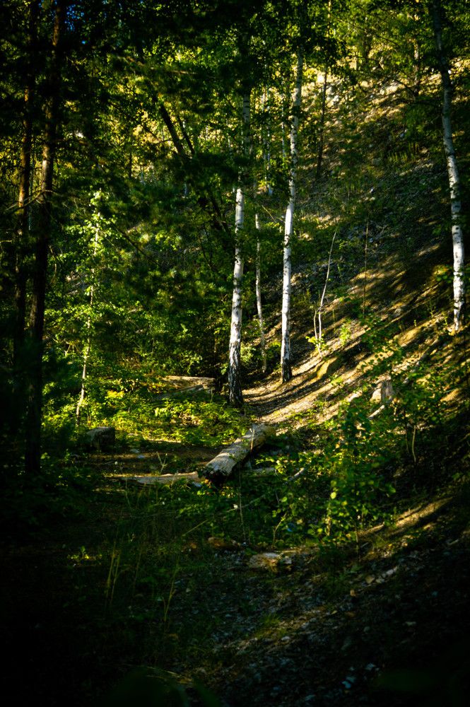 Photograph by Савинов Никита