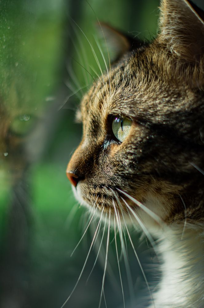 Photograph by Сергей Герасимов