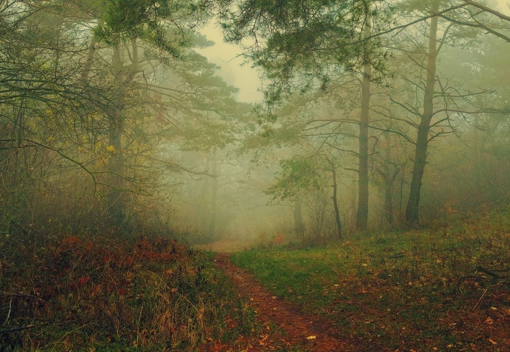 Photograph by Владимир