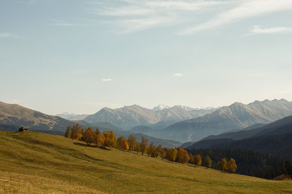 Photograph by Азалия