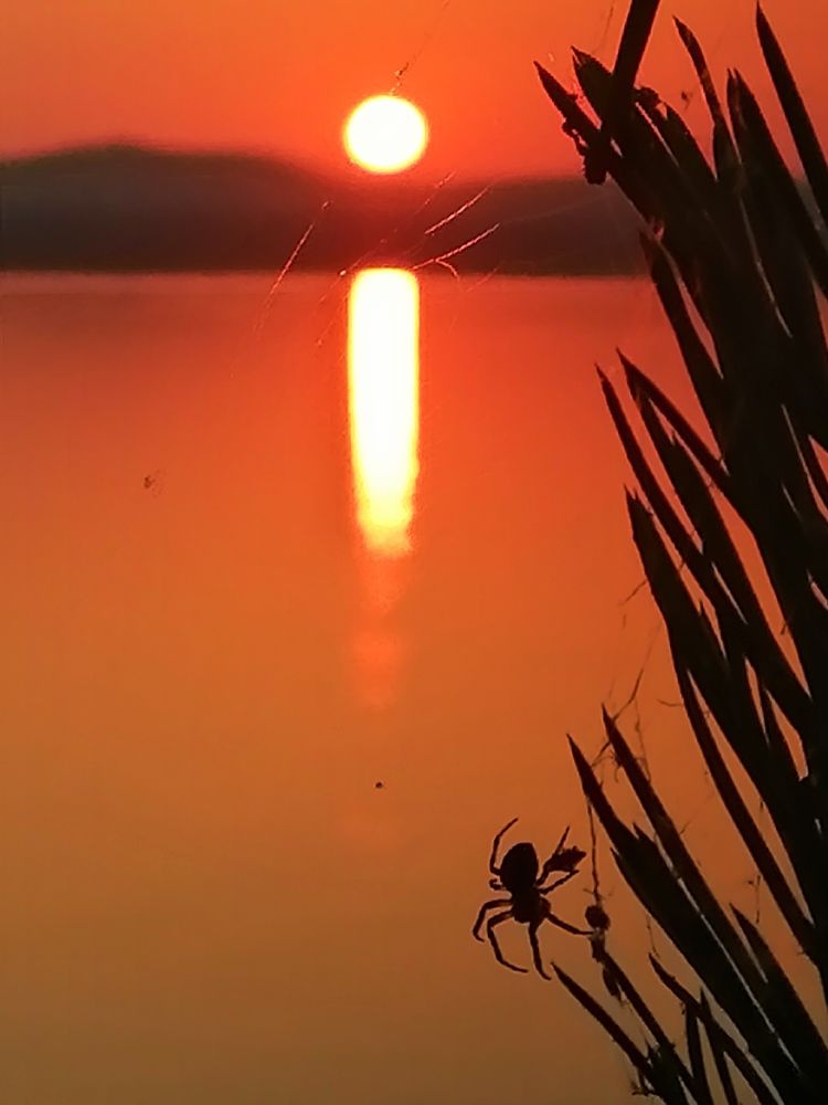 Photograph by Светлана Кудянова