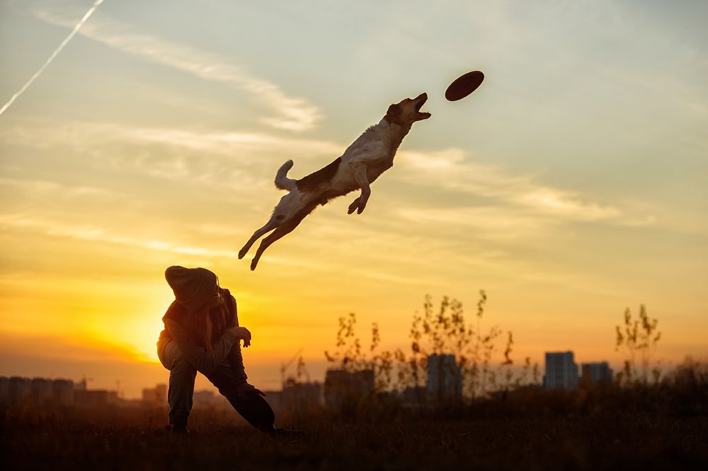 Photograph by Ольга Легенькая