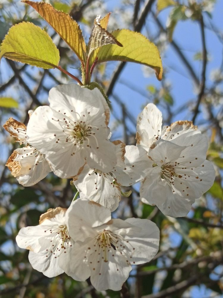 Photograph by Ольга Тихонова