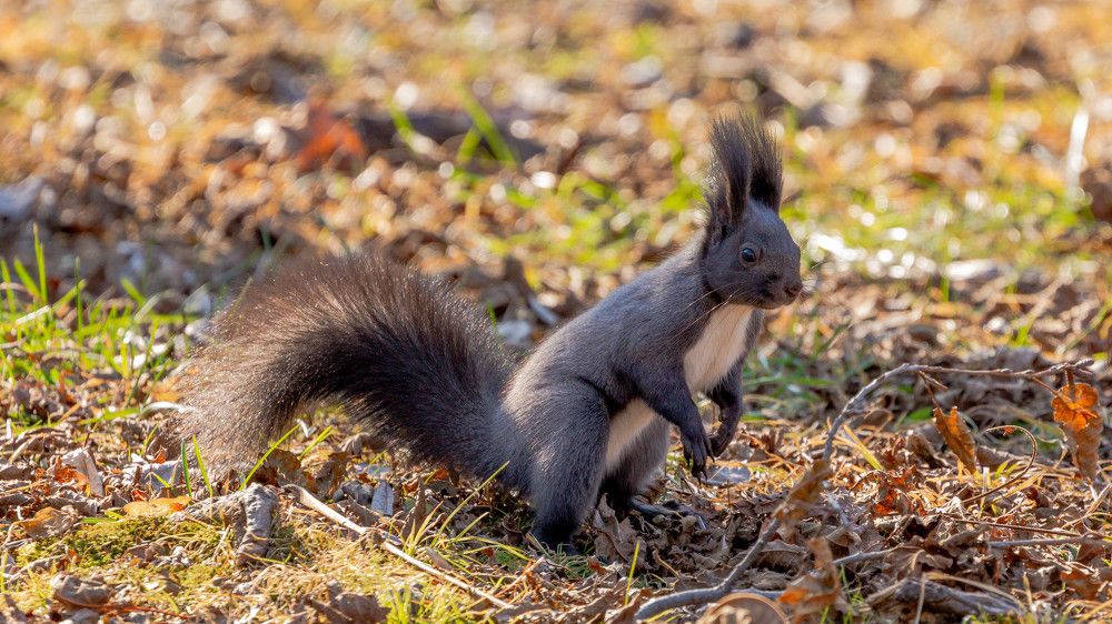 Photograph by Николай Чухрай