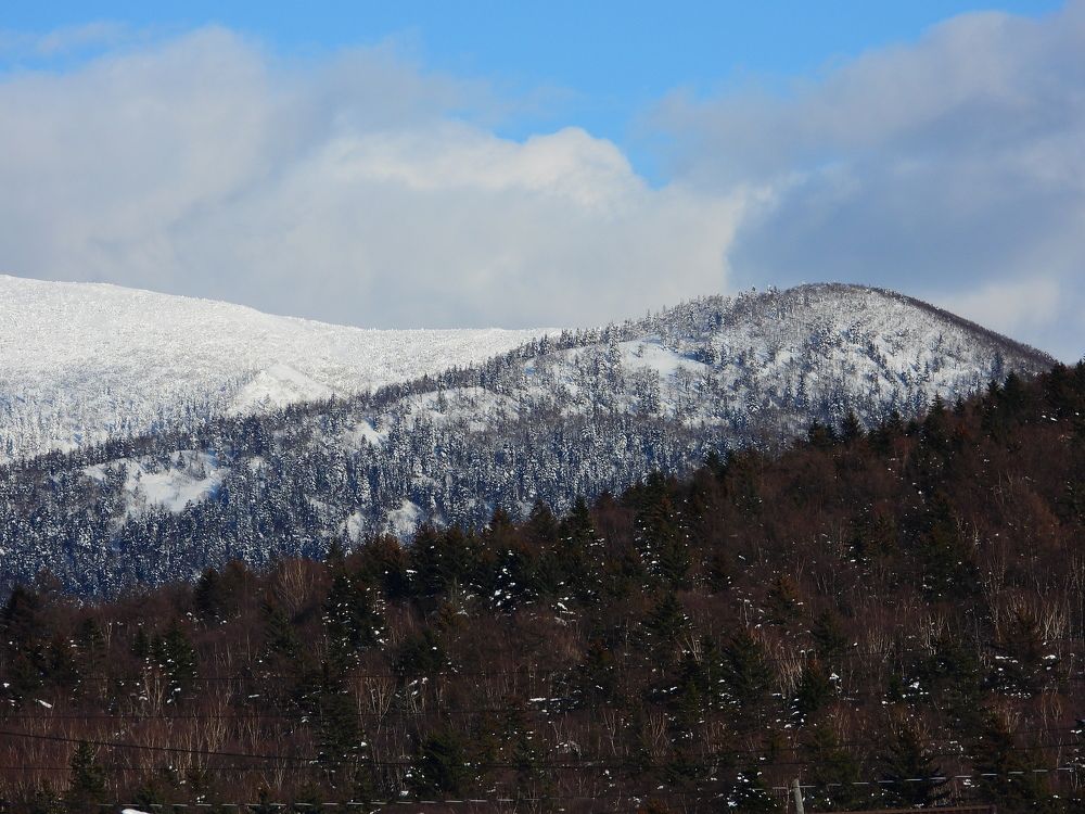 Photograph by Алексей Исаченко