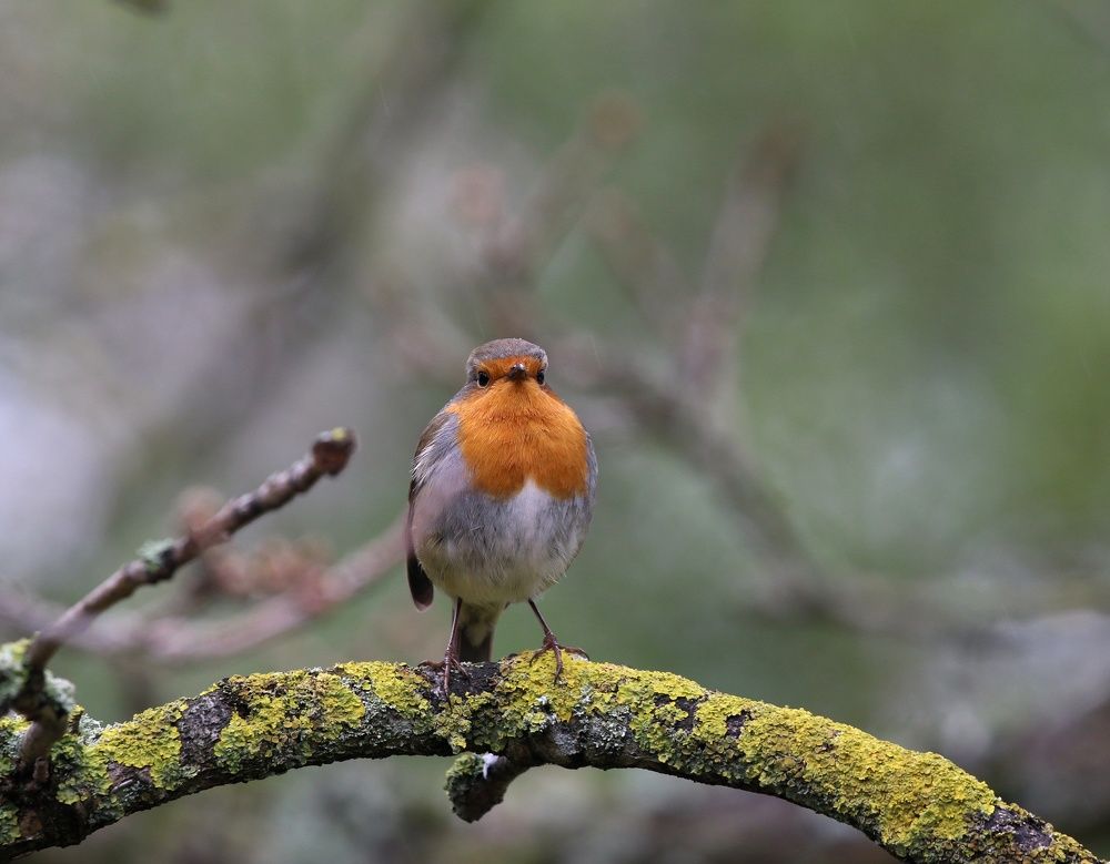 Photograph by Pauline Doran