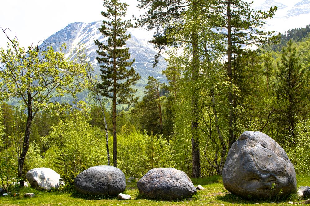 Photograph by Владимир Жигулин