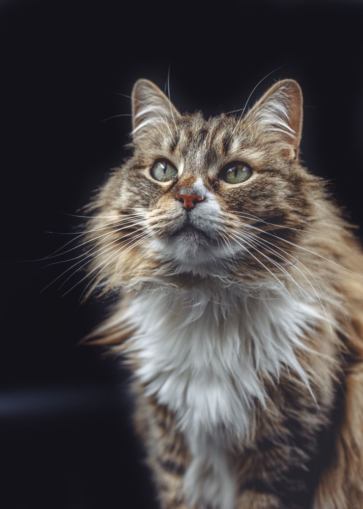 Photograph by Львова Люси