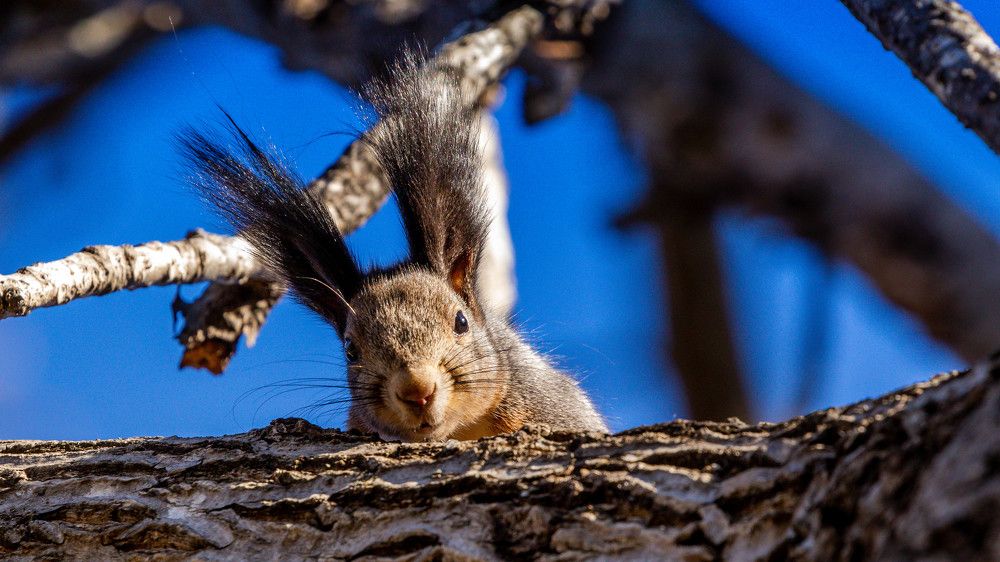 Photograph by Николай Чухрай