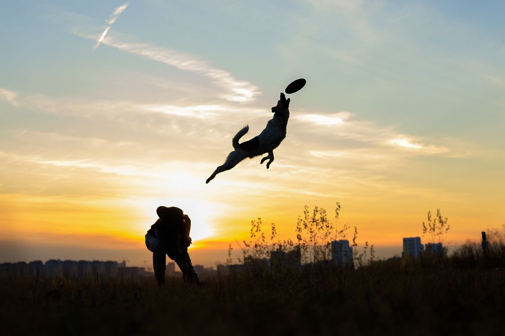 Photograph by Ольга Легенькая