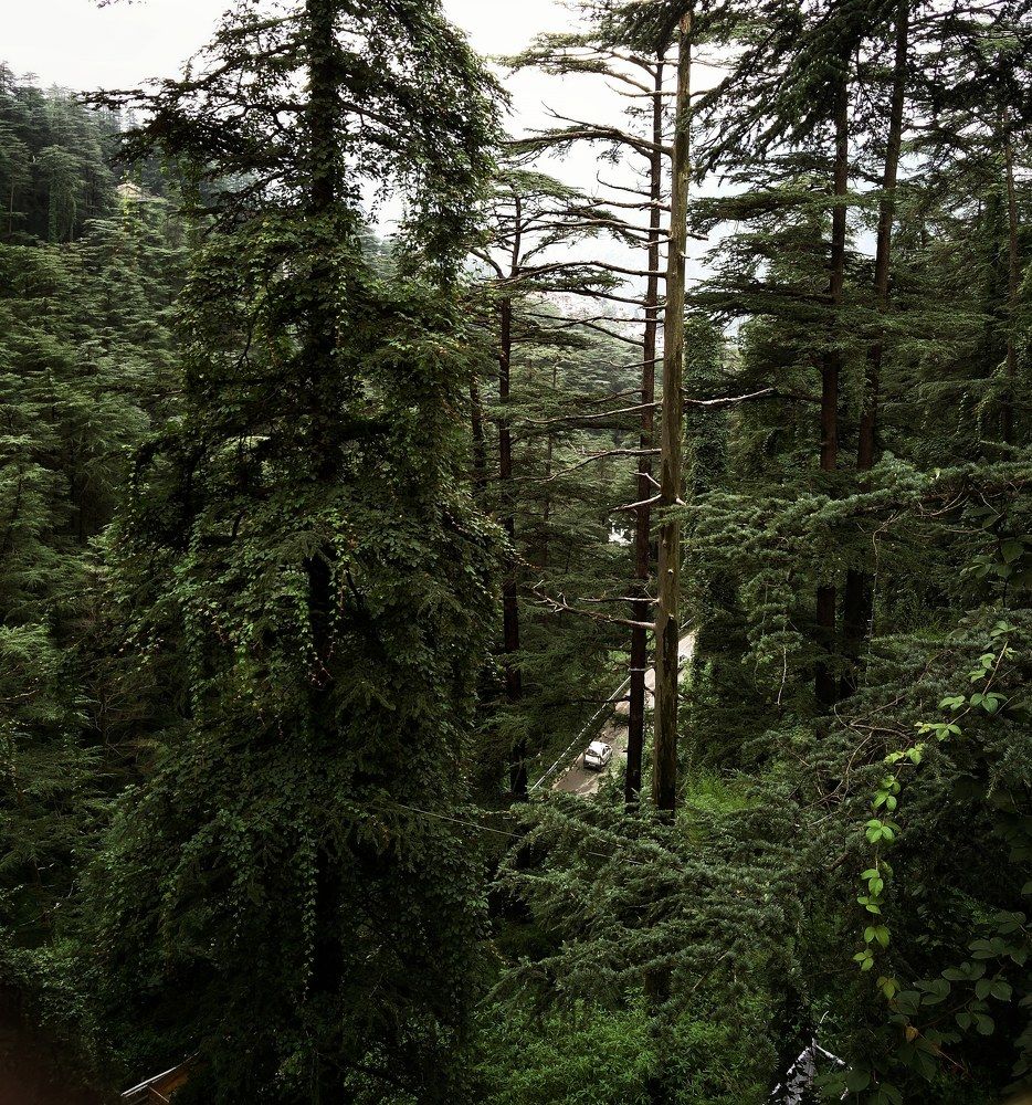 Photograph by Vivek Gohil