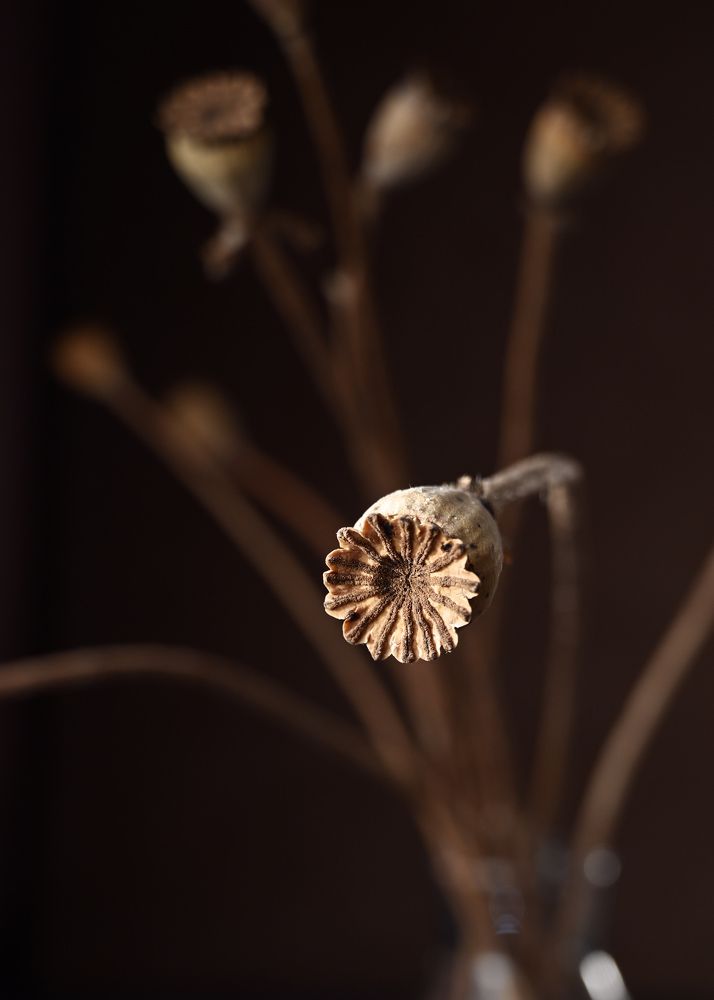 Photograph by Любовь Толстова