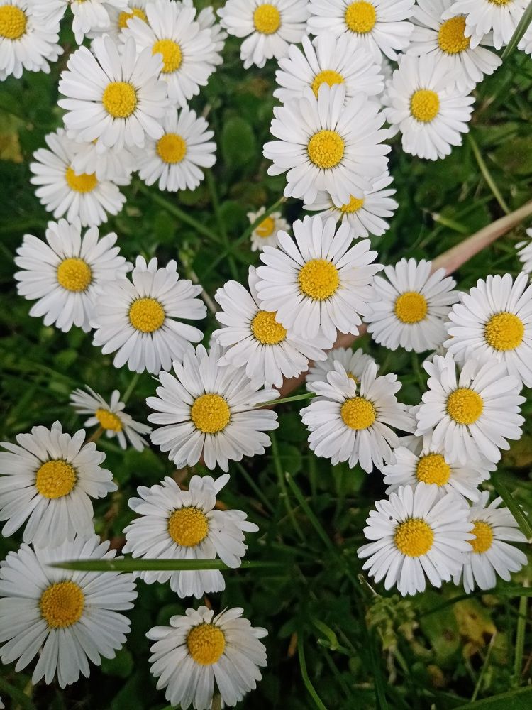 Photograph by Михаил Царикевич