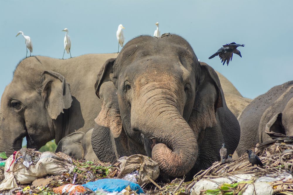 In the wake of destruction