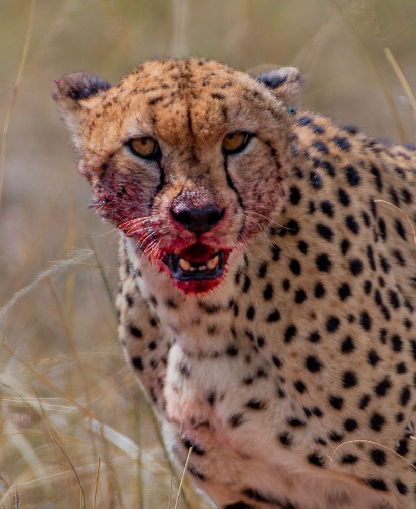 Photograph by Avani Dhanani