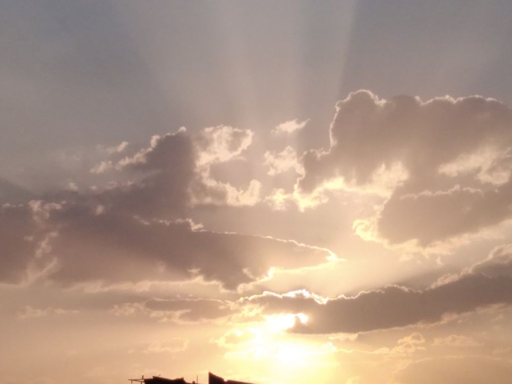 Photo #8908217