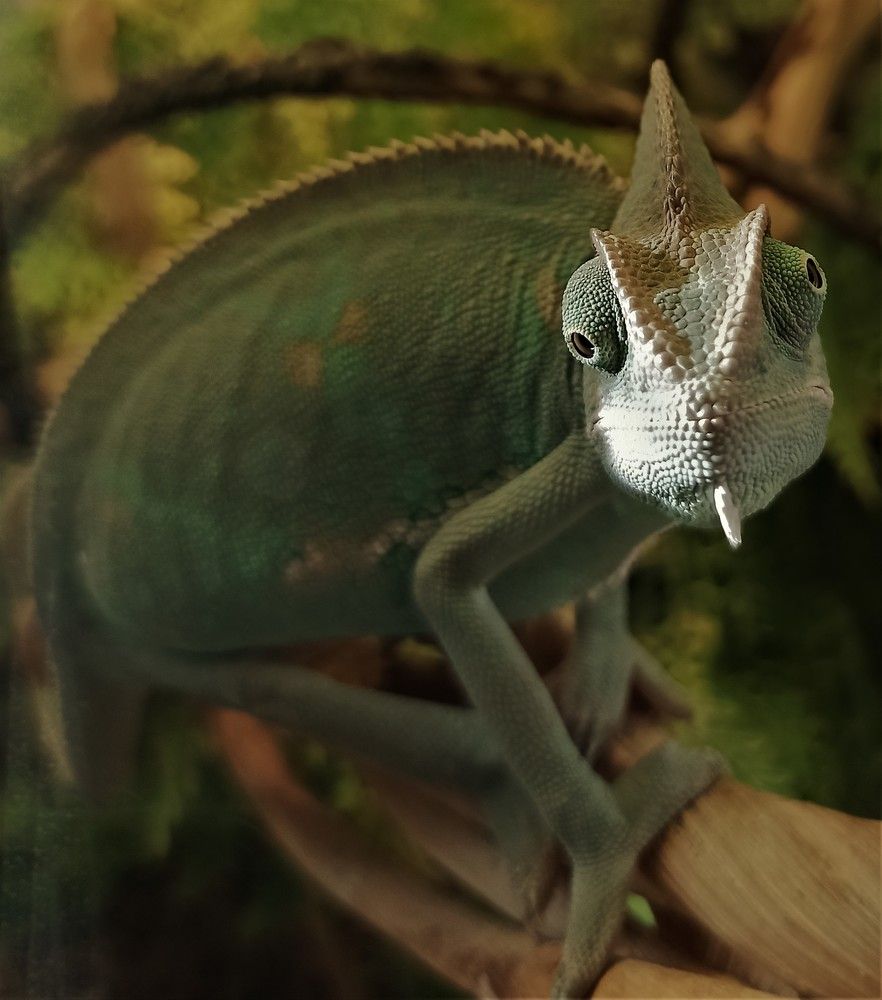 Photograph by Сергей Лобозов