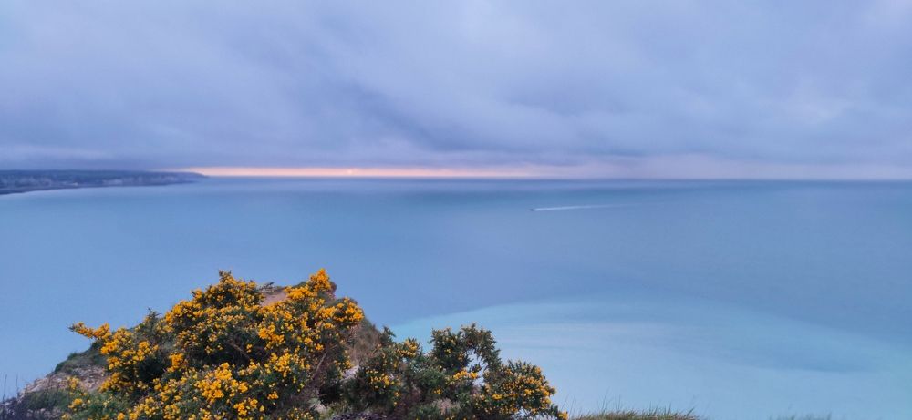 Photograph by Екатерина