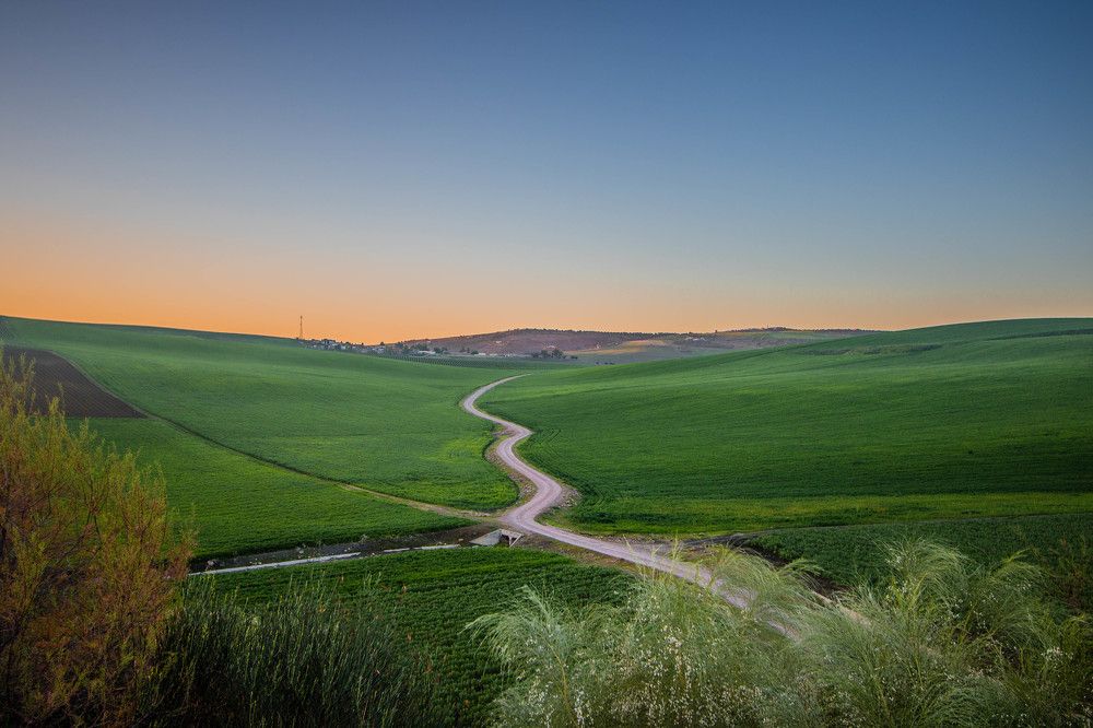 Photograph by SOUFIANE EL KADAOUI