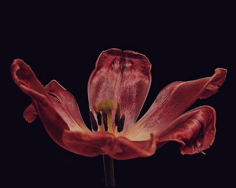 Photograph by Оксана Борисевич