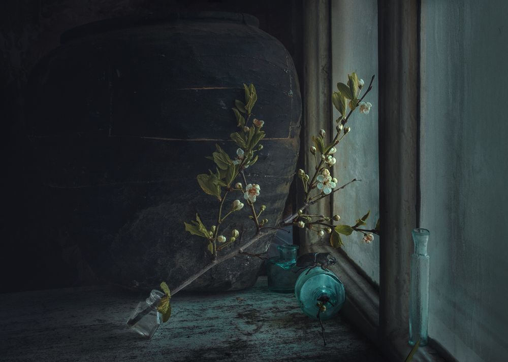 Photograph by Natalia Ricci