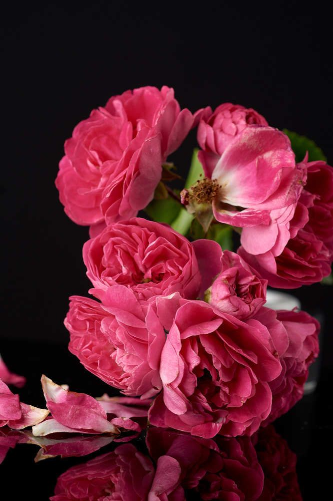 Photograph by Raisa Belova