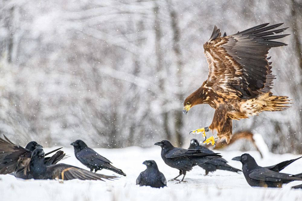 Photograph by Nikolay Hristov