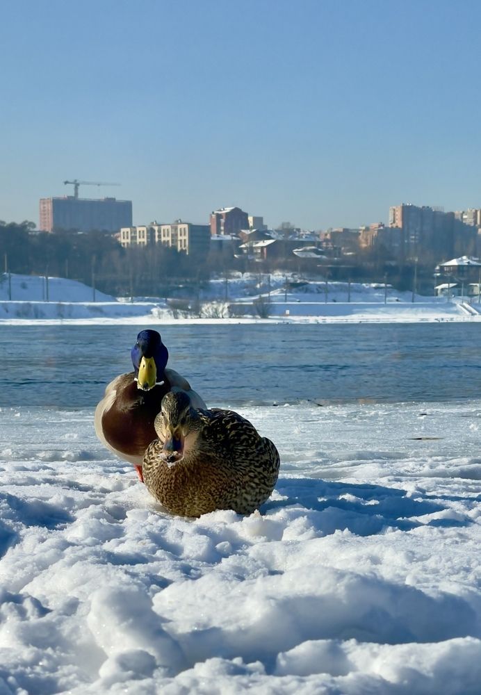 Photograph by Тимур Жилкибаев