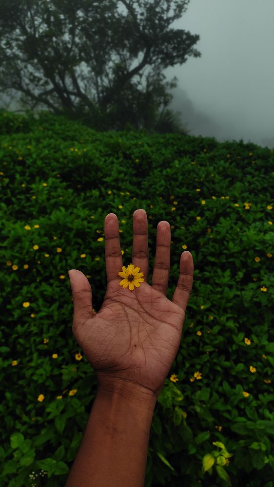 Photograph by Harikrishna C H