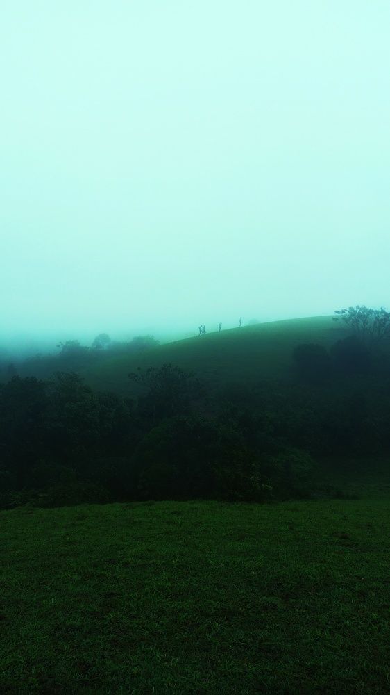 Photograph by Harikrishna C H