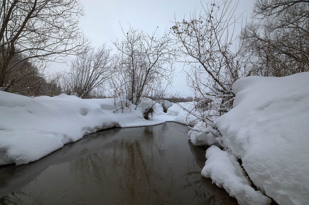 Photograph by Андрей Андрианов