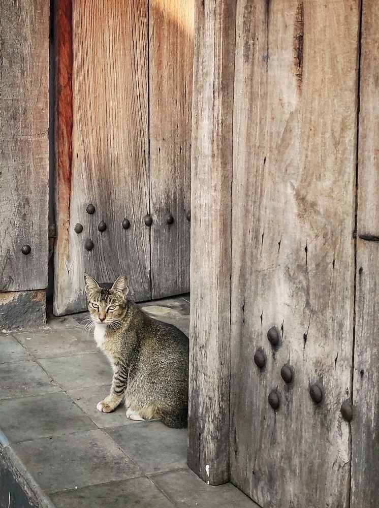 Photograph by  Oscar Simon Wiryahanjaya