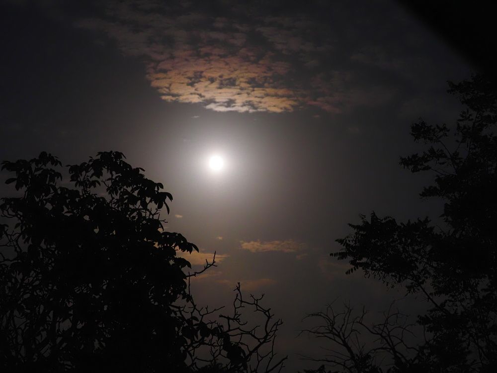 Photograph by Сергей Борисов