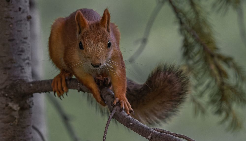 Photograph by Сергей Балашов