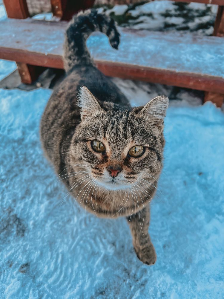 Photograph by Екатерина Васильева