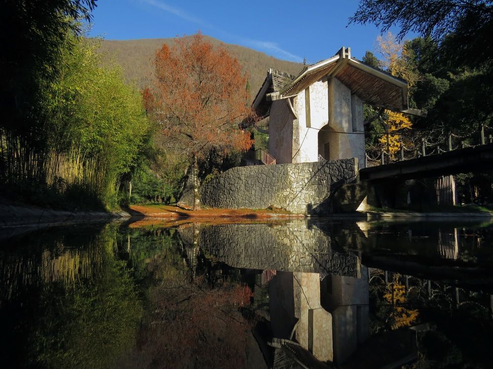 Photograph by Левин Арсений Андреевич
