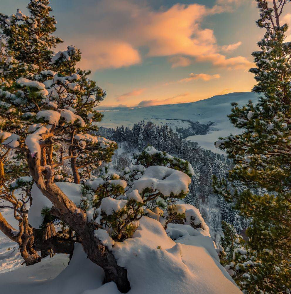 Photograph by Anatoly