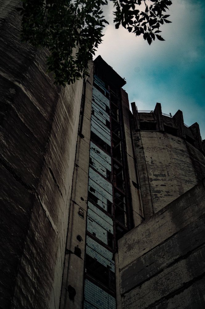 Photograph by Савинов Никита