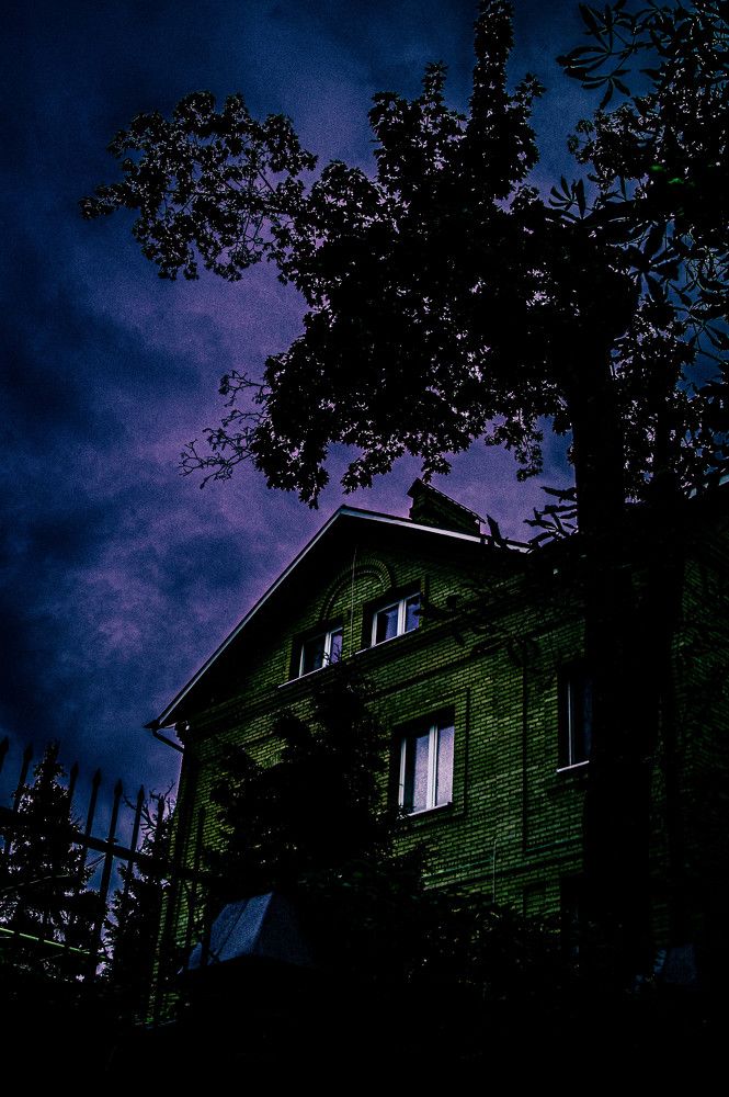 Photograph by Савинов Никита