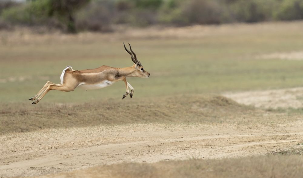 Photograph by Muralitharan M