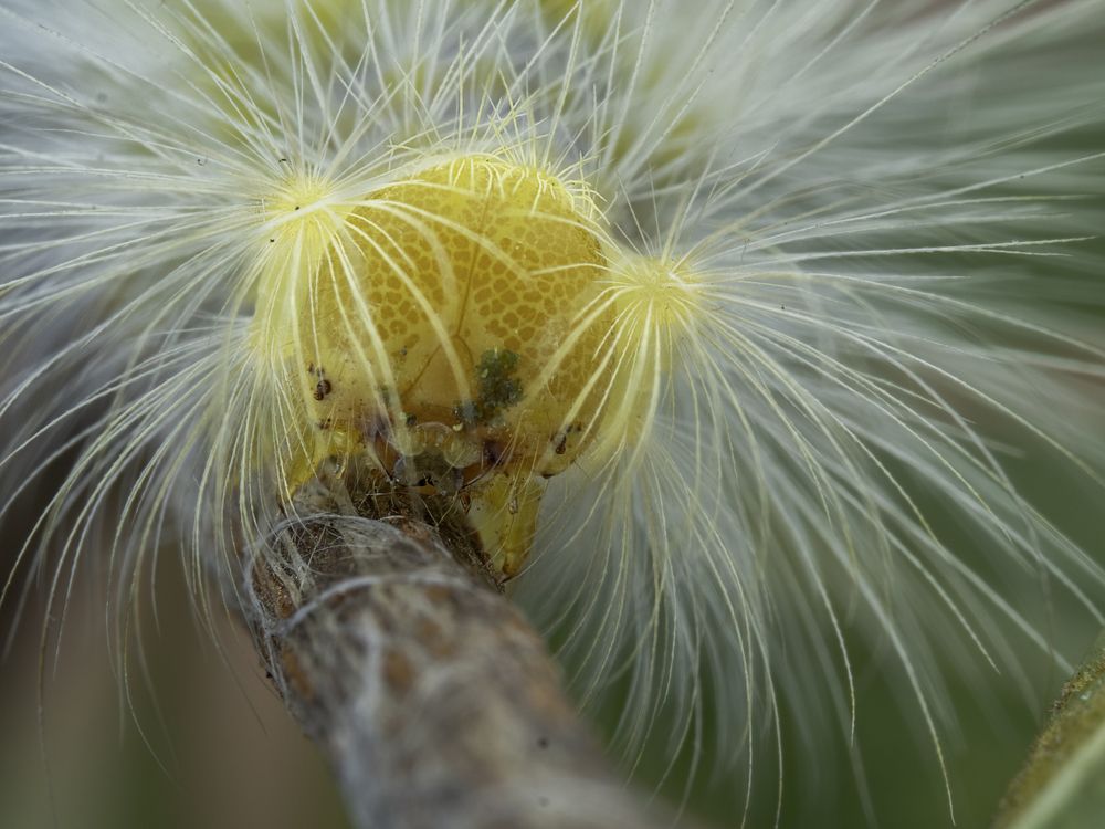 Photograph by Soon Teong Low